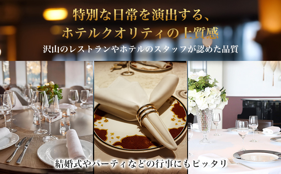 テーブルナプキンA+2